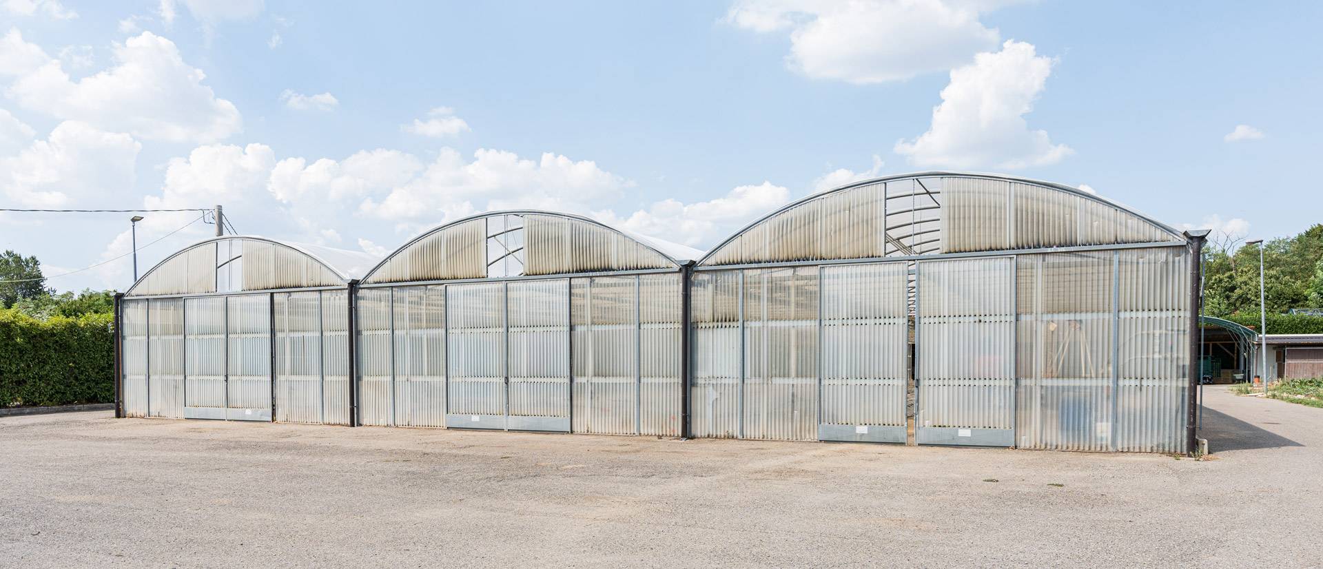 ferro-rosso-slider-coltivazioni