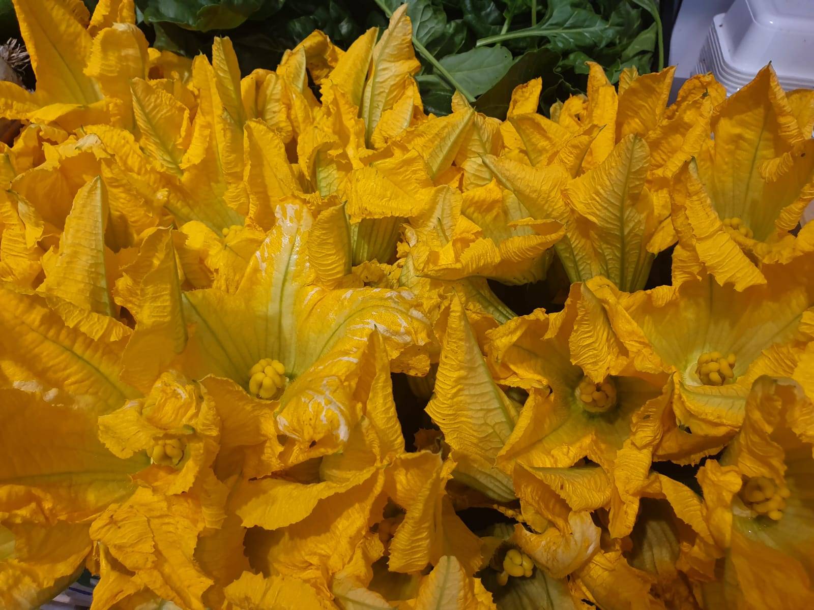 WhatsApp Image 2022-09-05 at 18.32.52 (1)