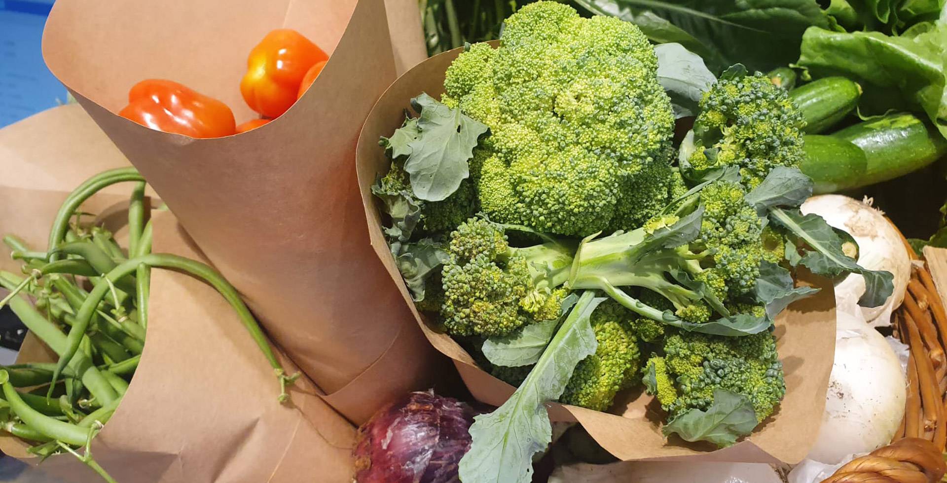 JC-ferro-rosso-coltivazioni-(9)