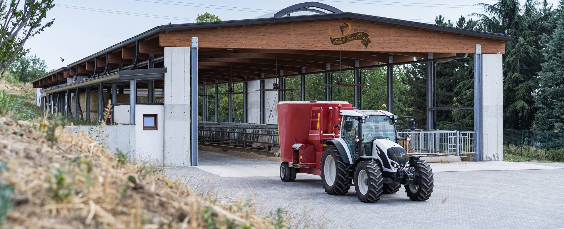 JC-ferro-rosso-allevamento-(64)