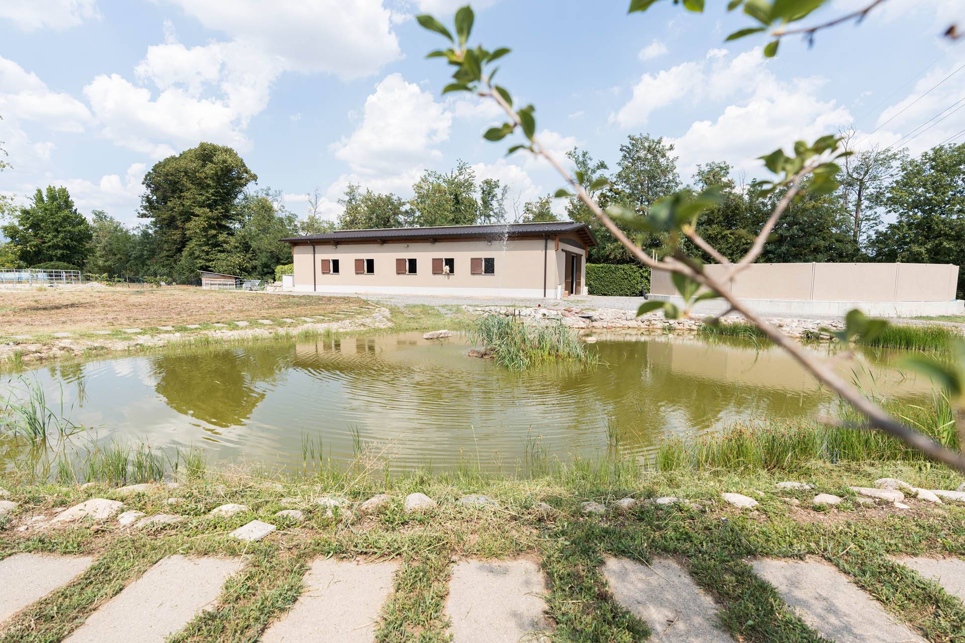 JC-ferro rosso-coltivazioni