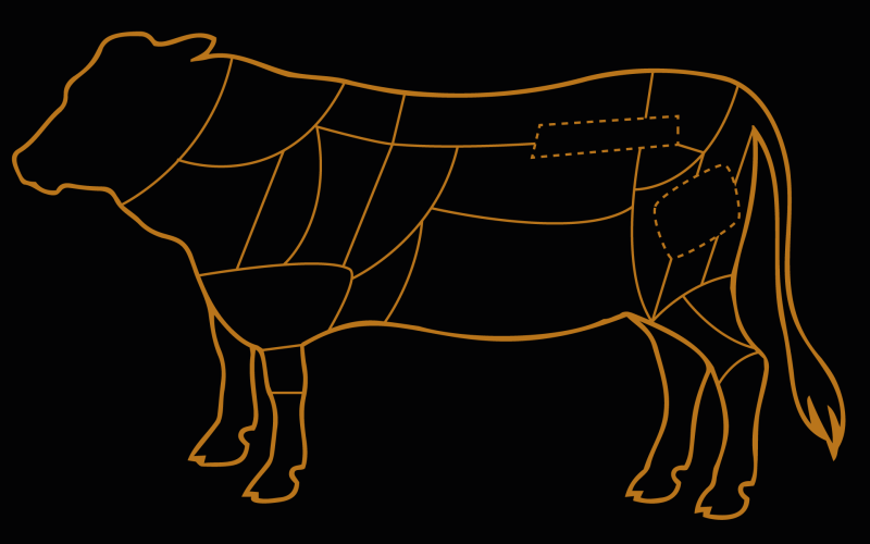 2022-09-06-sagoma-bovino
