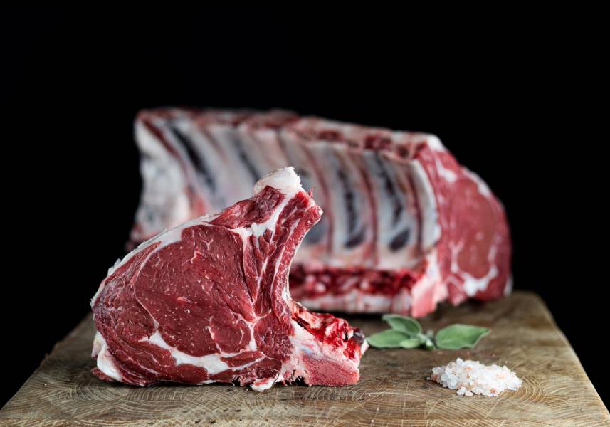 JC-ferro-rosso-tagli-cane-costata-98-copia-andrea