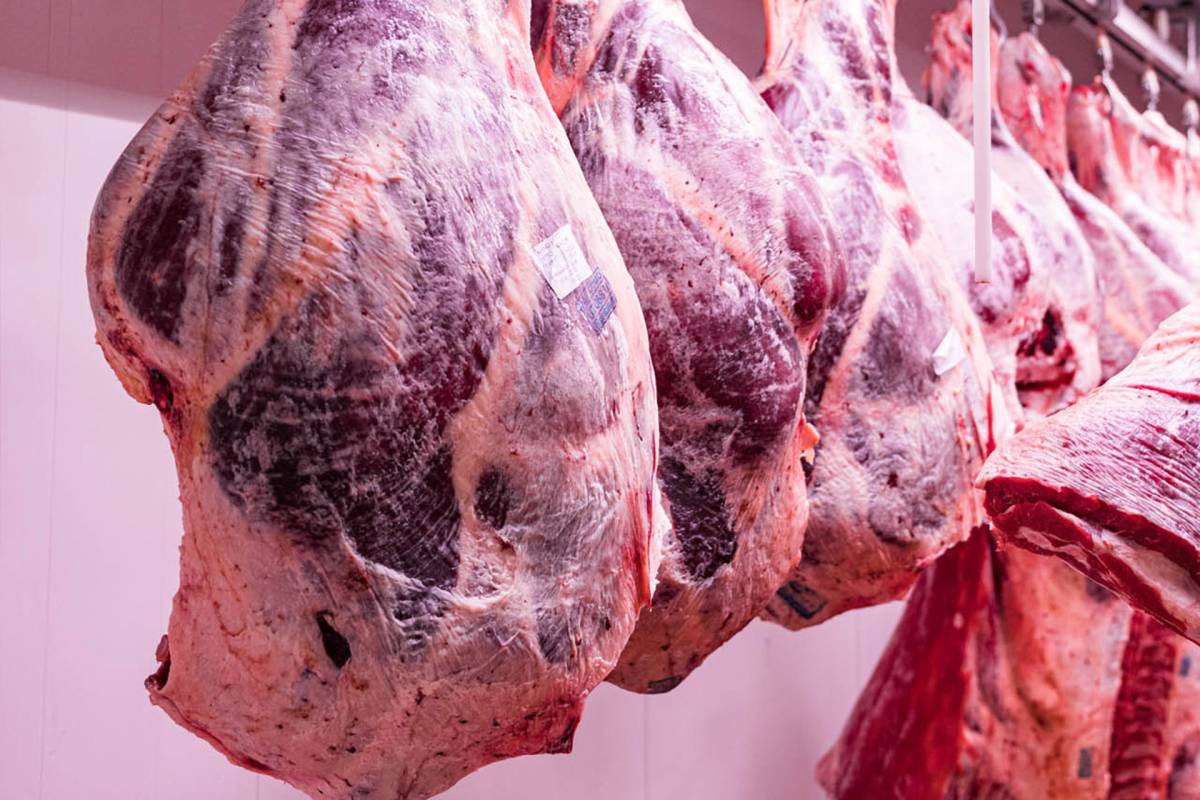 JC-ferro-rosso-macelleria-(13)