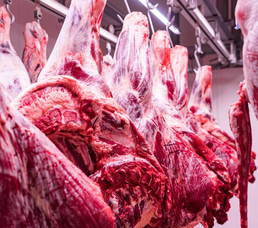 JC-ferro-rosso-macelleria-(14)