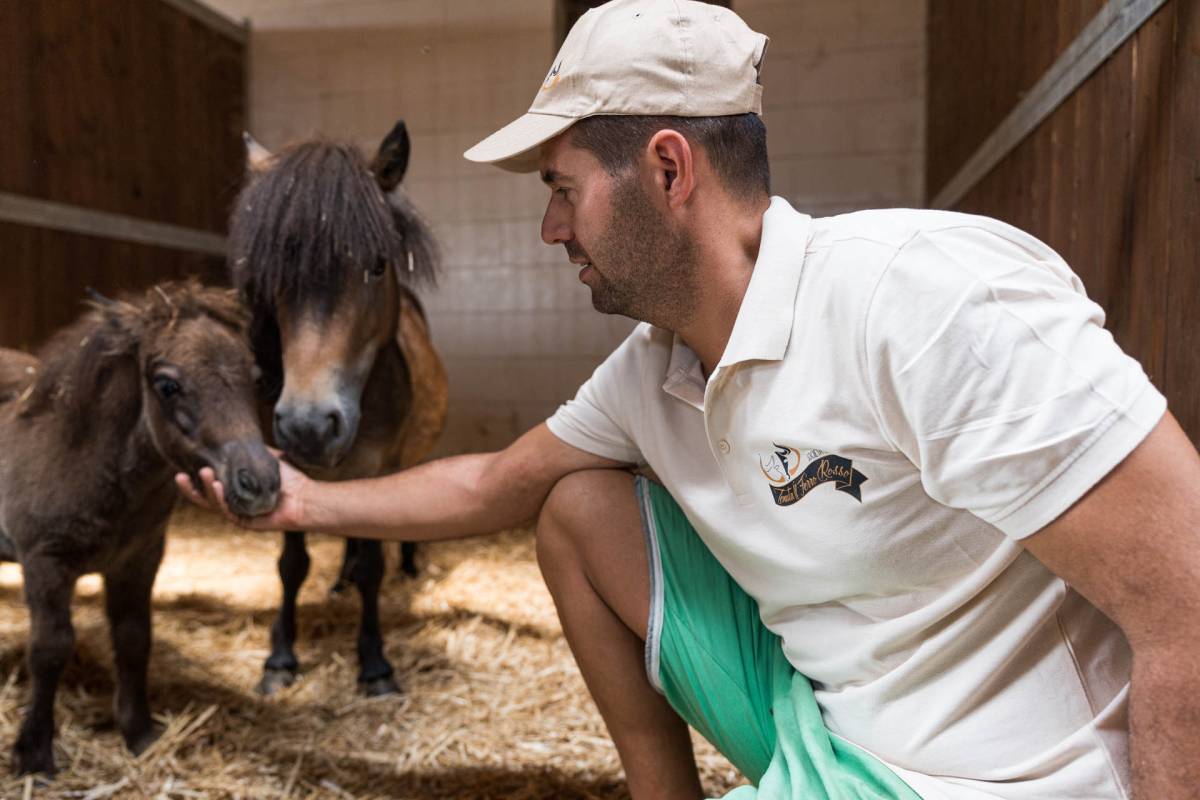 JC-ferro rosso-allevamento (30)